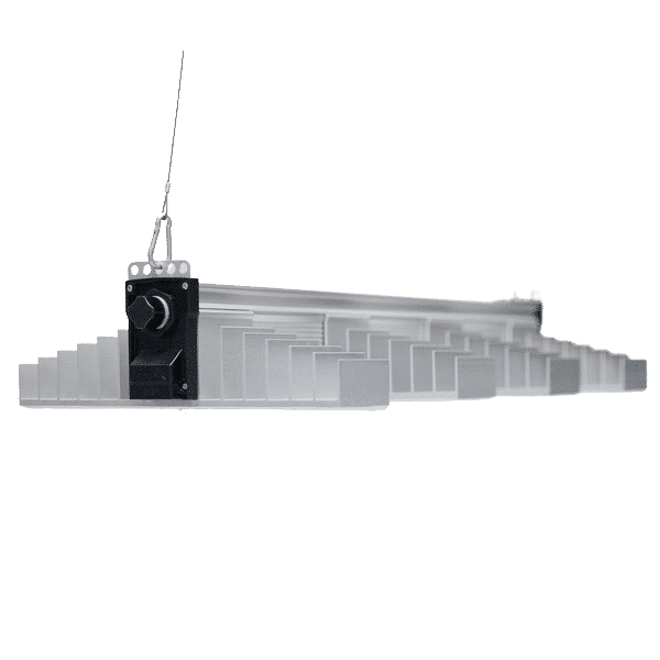 SANlight EVO 4-80 1.5 250W Pflanzenlampe