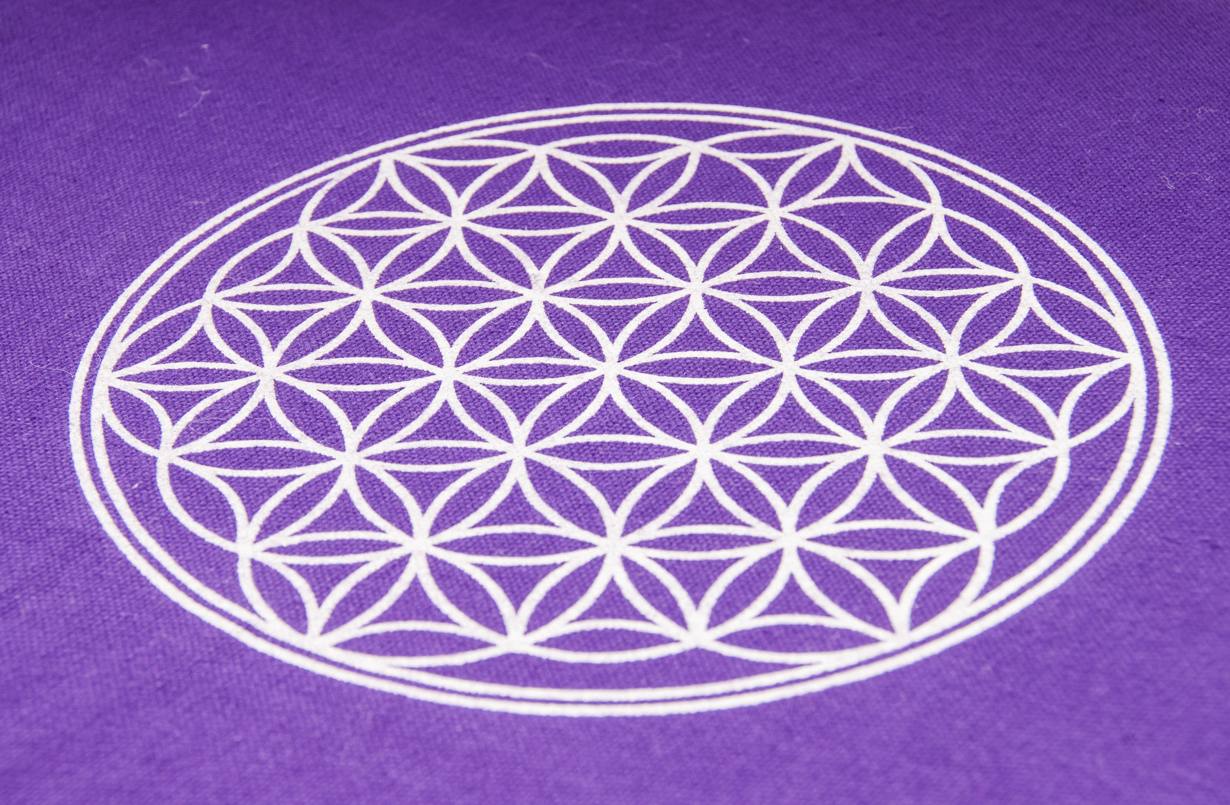 Berk Akupressurfußmatte Akupunktur 38x45cm Violett