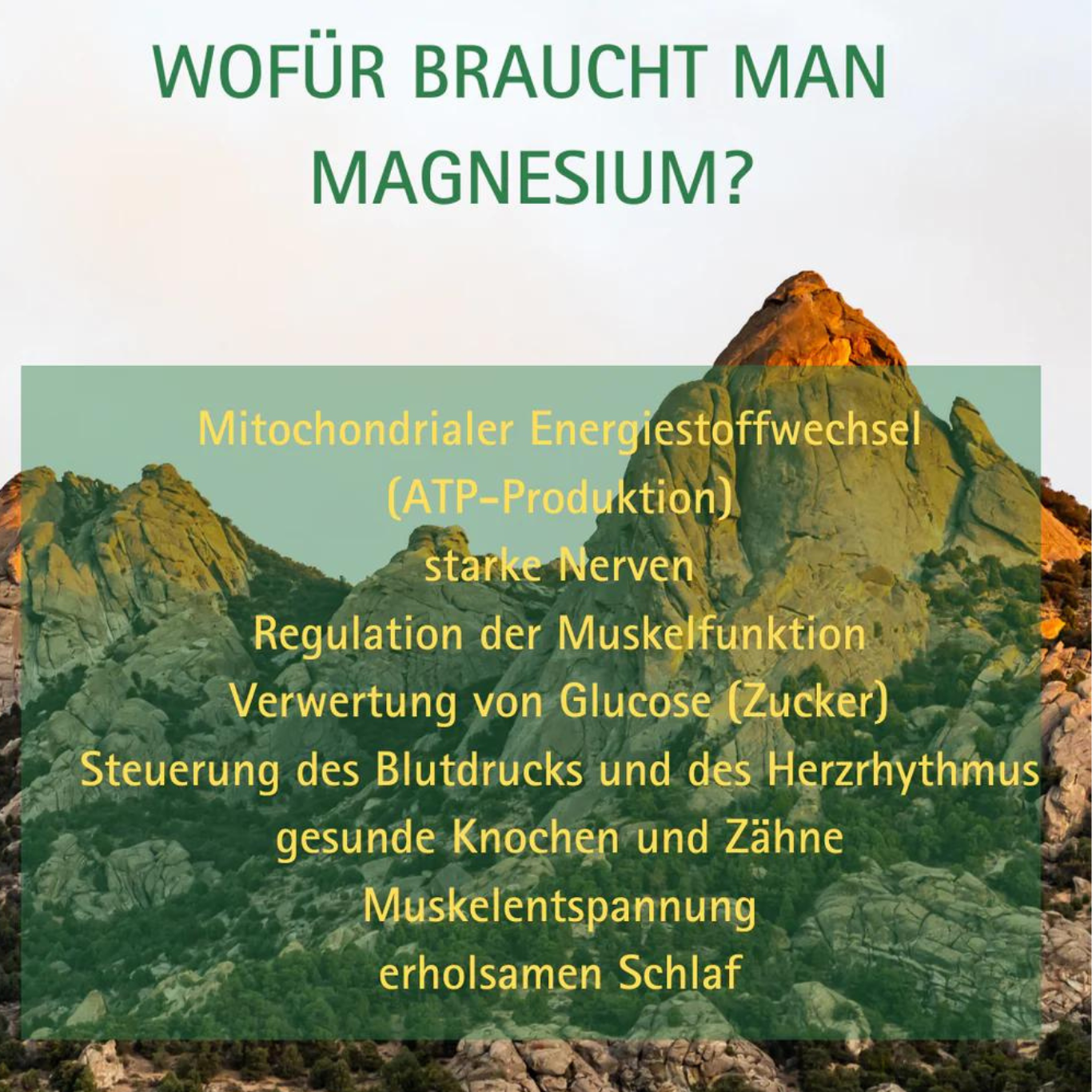 GreenKing Magnesium 90 Kapseln